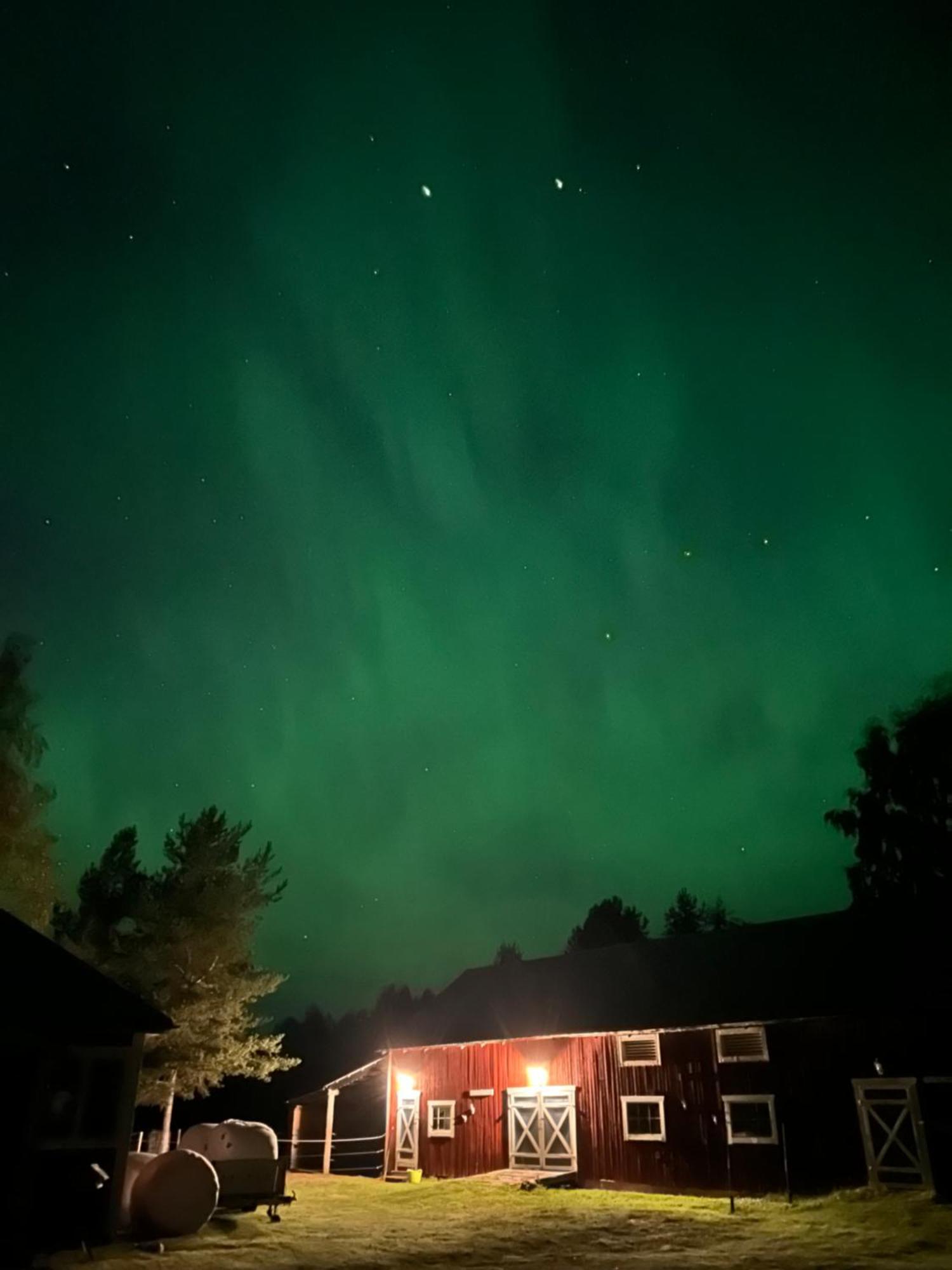 Vila Hus I Ljuset Näsåker Exteriér fotografie